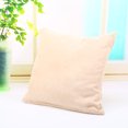 thumbnail image 2 of 18" x 18" Solid Color Velvet Throw Pillow Cover Super Luxury Soft Square Pillow Cases With Many Color options for Sofa Bedroom Car, 2 of 3