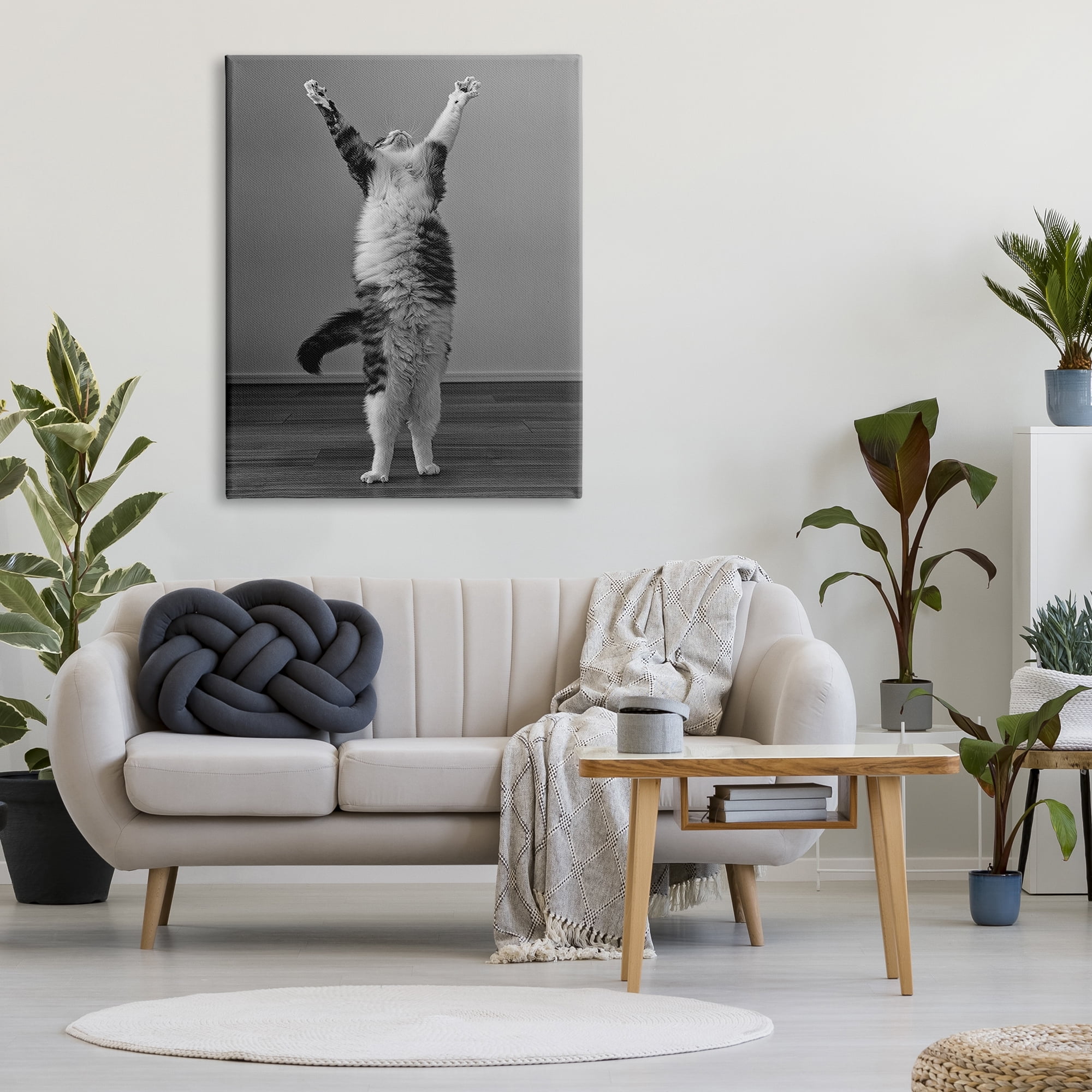 Stupell Industries Funny Cat Victory Pose Animals & Insects Photography Gallery Wrapped Canvas Art Print Wall Art, 36 x 48