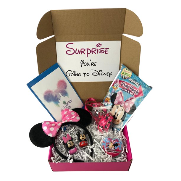 Disney Surprise Minnie Mouse Vacation Box Gift for Girls Park