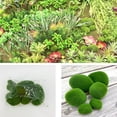 thumbnail image 3 of 6PCS Artificial Moss Rocks, 3 Size Faux Green Moss Covered Stones Green Moss Balls Decorative Fake Moss Decor for Fairy Gardens Floral Arrangements Craft（Two Each of Large, Medium and Small）, 3 of 7