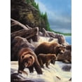 thumbnail image 2 of Daniel, Kevin 15x18 Black Ornate Wood Framed with Double Matting Museum Art Print Titled - Grizzlies by Falls, 2 of 4