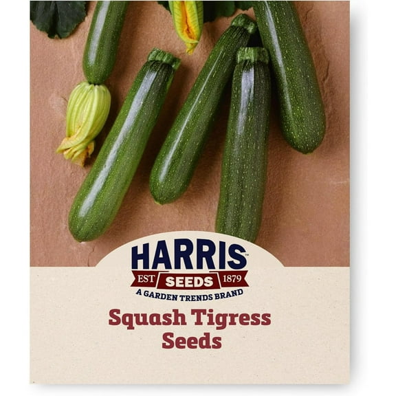 Harris Seeds Summer Squash Seeds - Treated Zucchini Tigress F1 Variety - 25 Seeds