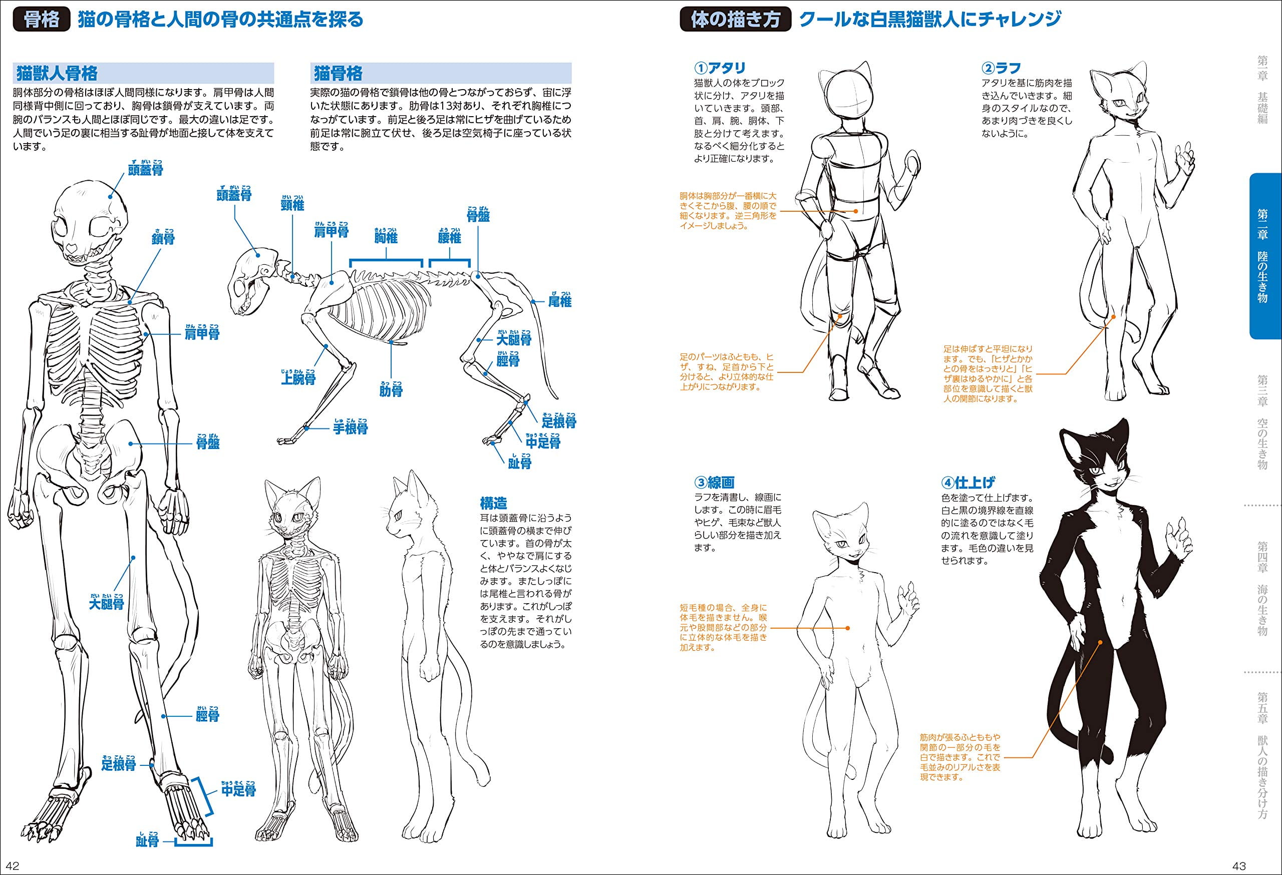 How To Draw Beastman 獣人の描き方 Walmart Com