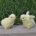 thumbnail image 2 of Mini figura de pollo de peluche, amarilla, juguete educativo para niños, jardín y Los 6x6x9cm, 2 of 4
