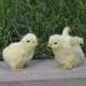 thumbnail image 2 of Mini figura de pollo de peluche, amarilla, juguete educativo para niños, jardín y Los 6x6x9cm, 2 of 4