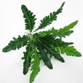 thumbnail image 4 of pitrice 12-branches Artificial Fern Plant Leaf Table Centerpiece Plant Decor Plastic artificial Fern Ornament, 4 of 8