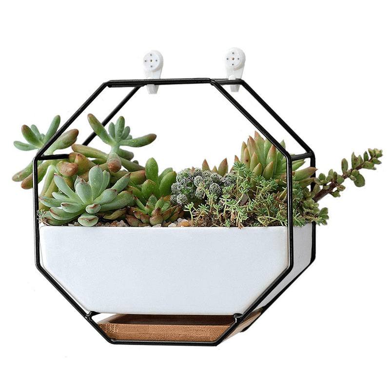 Octagonal Metal Hanging Wall Flower Pot Succulent Planter Vase Indoor Decorative Air Plants