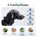 thumbnail image 4 of Collar de adiestramiento para perros My Pet Command, alcance de 1,6 km, paquete de 2, 4 of 7