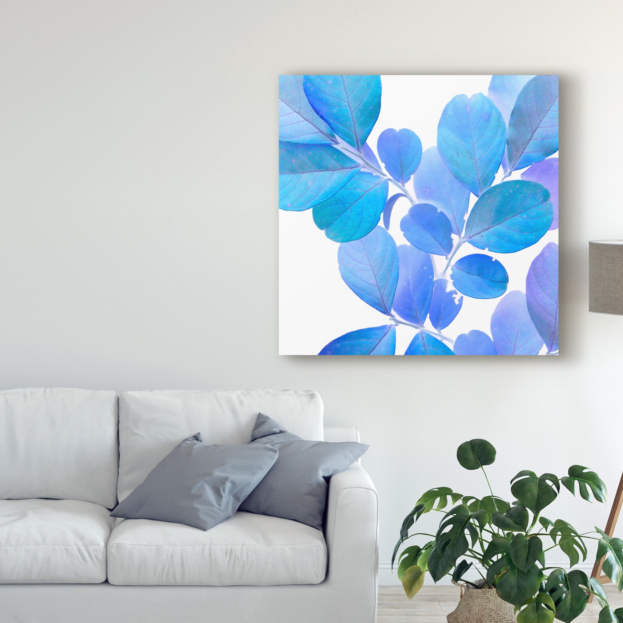 Trademark Fine Art 'Xray Leaves I' Canvas Art by Vision Studio