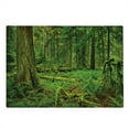 thumbnail image 2 of Tree Cutting Board, Idyllic Rainforest in Canadian Island Ferns Moss on Plant Nature Ecology Photo, Decorative Tempered Glass Cutting and Serving Board, Large Size, Green, by Ambesonne, 2 of 5