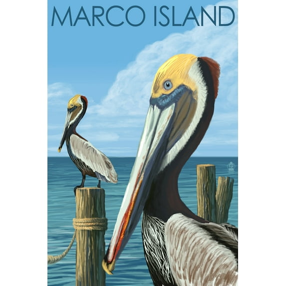 Marco Island, Florida, Pelicans (36x54 Giclee Gallery Art Print, Vivid Textured Wall Decor)