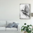 thumbnail image 3 of Trademark Fine Art 'B&W Flight II' Canvas Art by Ingrid Blixt, 3 of 4