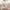 Spring-4, variant on Spring Summer Tablecloth Rectangle 60x102 Inch,Wrinkle Resistant Pastel Flower Table Cloth, Washable Colorful Table Fabric Decoration for Picnic Dinner Outdoor