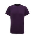 thumbnail image 1 of Tri Dri Mens Short Sleeve Lightweight Fitness T-Shirt, 1 of 2