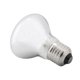 thumbnail image 2 of 220-230V Night Heat Light Lamp Bulb for Bird Snake Reptile Pet Amphibian (100W), 2 of 4