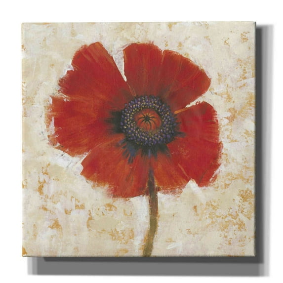 Epic Graffiti 'Red Poppy Portrait I' by Tim O'Toole, Canvas Wall Art, 26"x26"