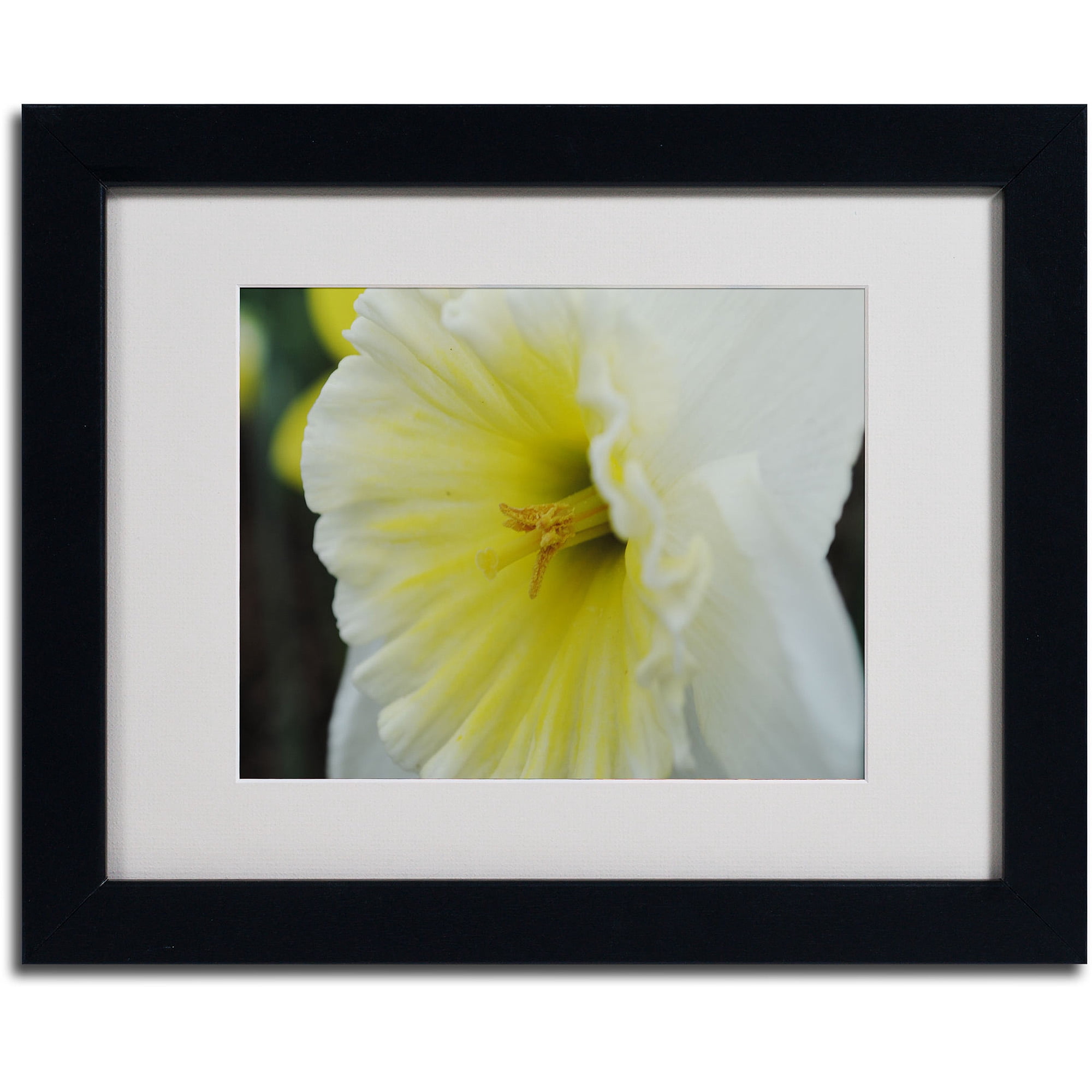 Trademark Fine Art "Vitality" by Monica Fleet, Black Frame