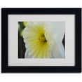 thumbnail image 2 of Trademark Fine Art "Vitality" by Monica Fleet, Black Frame, 2 of 3