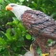 thumbnail image 4 of Eagle Decor Ornament Polyresin Coloring Art Crafts colgante para jardín patio Gloria estatua del águila, 4 of 6