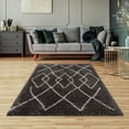 thumbnail image 2 of Skylar Grey Shag 8 ft. x 10 ft. Area Rug, 2 of 7