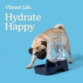 thumbnail image 4 of Vibrant Life 0.75 gal Gravity Waterer for Small Pets, Navy, 4 of 6