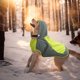 thumbnail image 3 of Chubasquero con capucha para perros, chaqueta impermeable portátil para mascotas, chubasquero para mascotas con tira reflectanteVerdeNúmero siete, 3 of 5