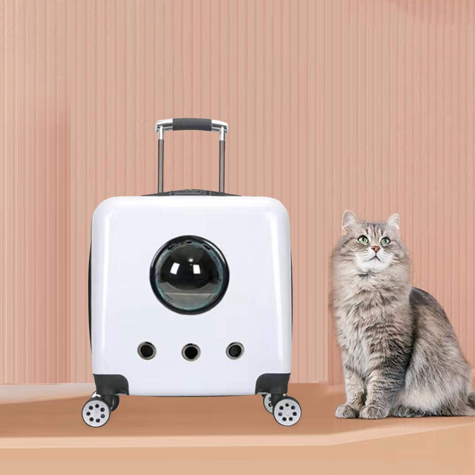 Bvdfgk Cat Trolley Case Backpack Tote Space Carrying Bag for Kitten Kitty Kennel Hiking white