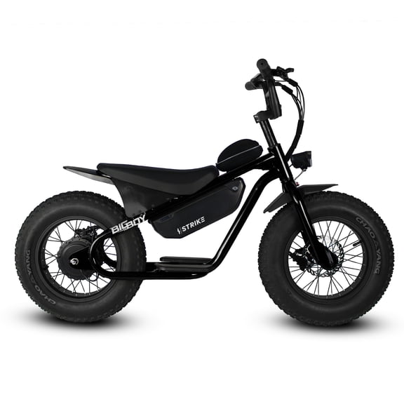 Golden Cycles Big Boy 16 in 350W Fat Tire Electric Bike, Black