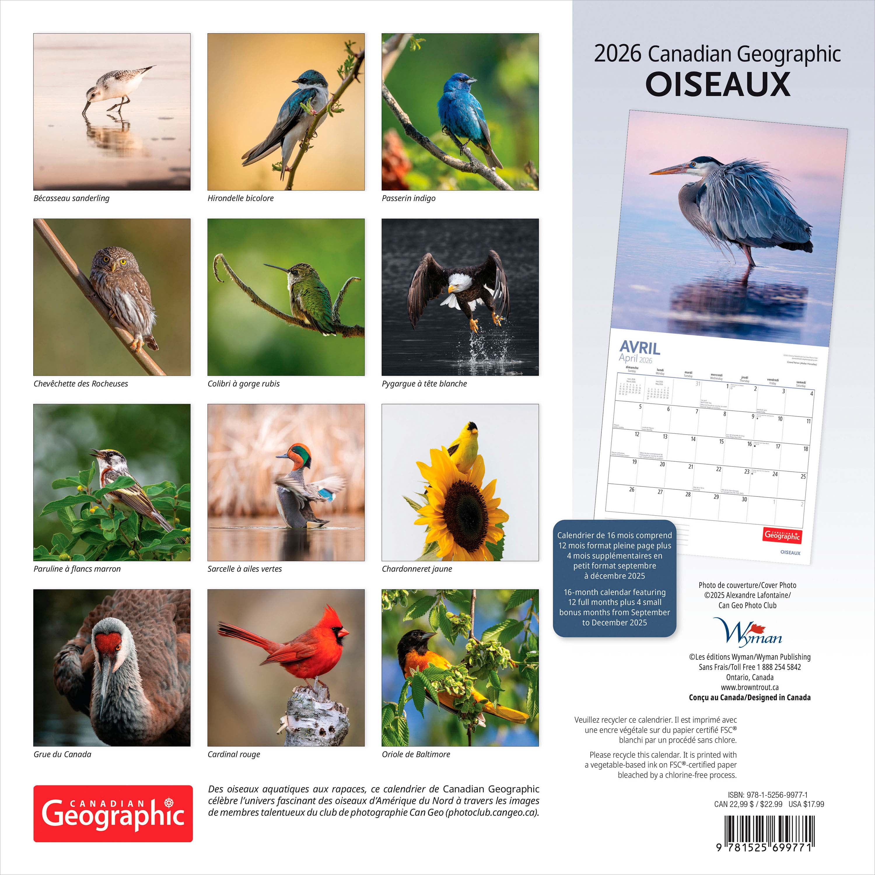 Canadian Geographic Oiseaux 2026 Carré FRANÇAISE Wyman DÉJOUER