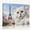 A, variant on XaaKee Wall Art Humorous White Persian Selfie Travel Concept Artwork Modern Photography Inner Framed 18*12Inch