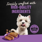 Cesar Classic Loaf in Sauce Filet Mignon Flavor Adult Wet Dog Food, 3.5 oz Easy Peel Trays, 24 Ct.