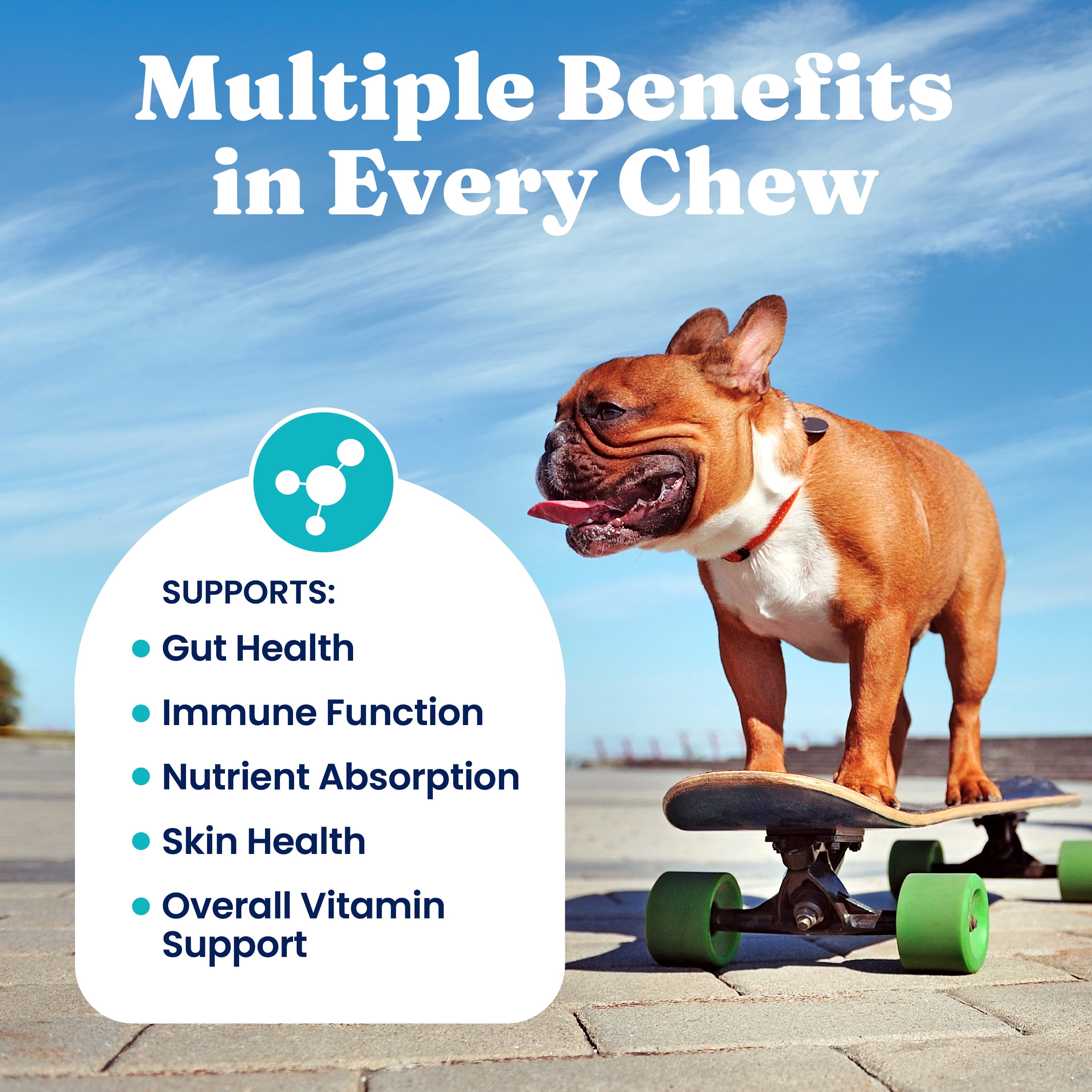 Solid Gold PetVites Multivitamin for Overall Health for Dogs, Bacon 120 ct