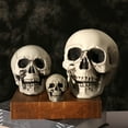 thumbnail image 6 of Sylvtty Halloween Skull Head Decor Plastic Realistic Human Skull Figurine for Graveyard Scene Haunted House Bar Home Table Decorations, 6 of 7