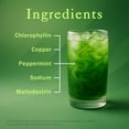 thumbnail image 3 of Epic Global Chlorophyll Powder, Mint Flavor, 3 of 7