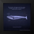 thumbnail image 2 of Nobleworks, Inc. 20x20 Black Modern Framed Museum Art Print Titled - Whaleprint 4, 2 of 5