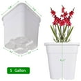 thumbnail image 6 of 10 Pack Plastic Plant Pots Seedling Cups, 5 Gallon Plant Container Square Nursery Pots Fit for Seeds Germination, Seedlings Growing, Succulents Planting, Seeds Starting, White, 6 of 8