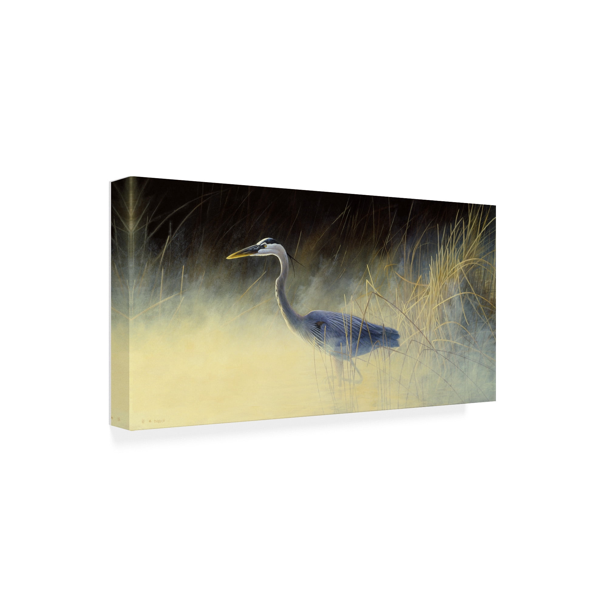 Trademark Fine Art 'Fishing The Mist' Canvas Art by Michael Budden