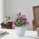 thumbnail image 5 of Simulación de ciruelos de cinco hojas en macetas, plantas de bonsái, simulación de flores, ideal para decoración de interiores, jardines, terrazas y escritorios de oficina., 5 of 5