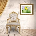thumbnail image 3 of Eggers, Terry 14x12 Gold Ornate Wood Framed with Double Matting Museum Art Print Titled - USA-Washington State Close-up of Arrowleaf Balsamroot and lupine, 3 of 4