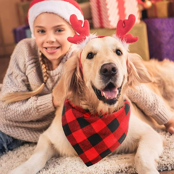 Dog christmas handkerchief top