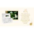 thumbnail image 3 of Freida and Joe Holiday Bath and Body Gift Set for Her Dreams Spa Gift Basket in a White Wooden Tissue Box Gift for Any Occasion, Relaxation, Jasmine Scent 7 Peices Selfcare, 3 of 10