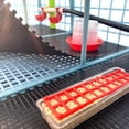 thumbnail image 5 of Hatching Time Chick Brooder - 4 Layer H: 9.5" (Power-Washable, Durable, ABS Plastic) | Cimuka, 5 of 10