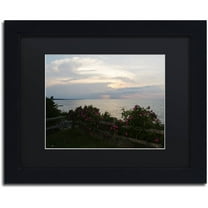 Trademark Fine Art "Roses in Bloom Along the Lake" Canvas Art by Kurt Shaffer, Black Matte, Black Frame