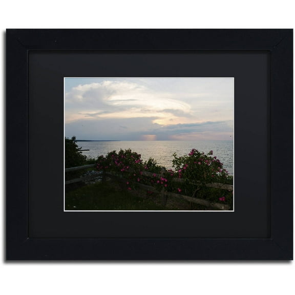 Trademark Fine Art "Roses in Bloom Along the Lake" Canvas Art by Kurt Shaffer, Black Matte, Black Frame