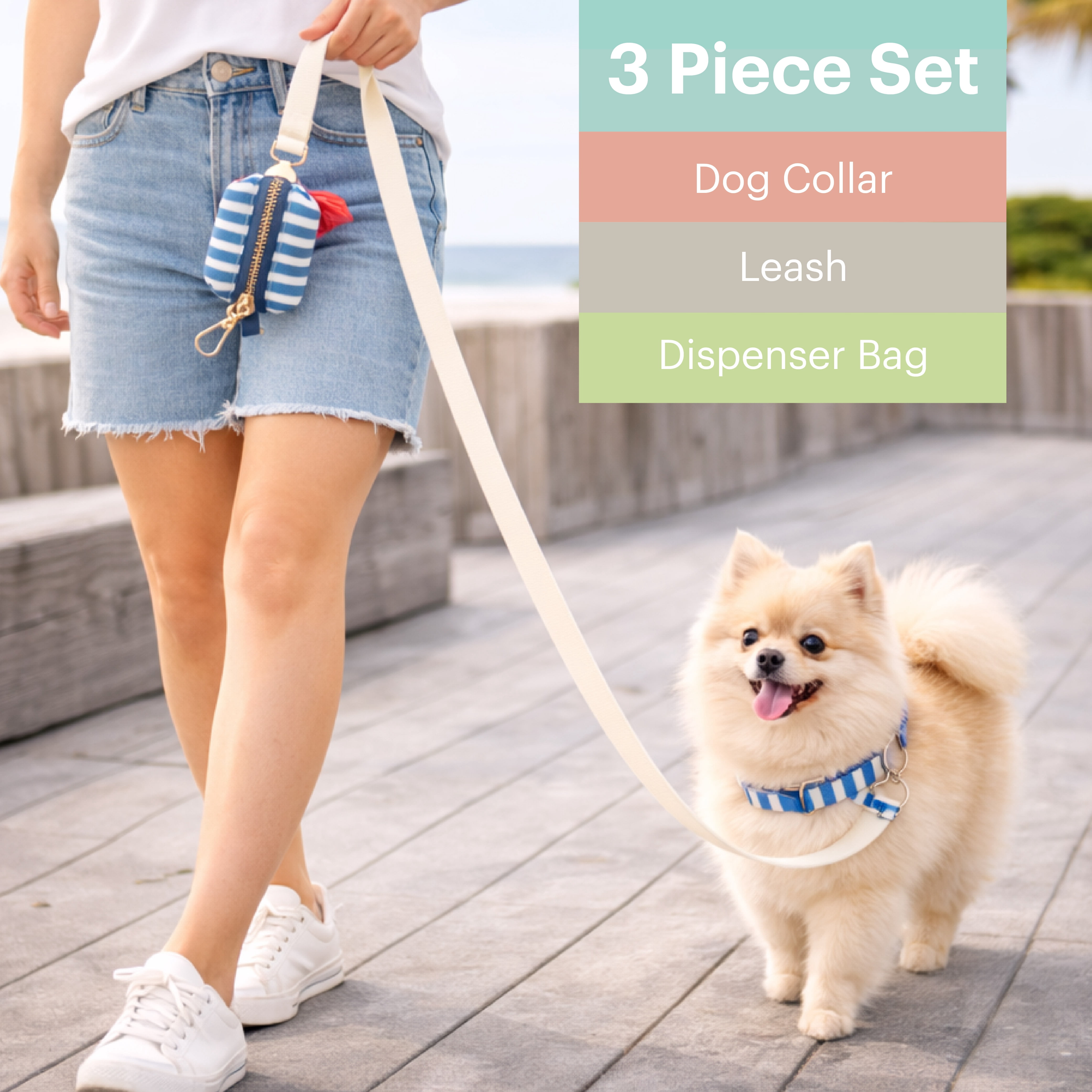 3 pc Leash Set Stripe