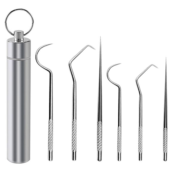 Dengmore Reusable Metal Toothpicks, 304 Metal Tooth Picking Tool Stainless Steel Toothpick Portable Carry-on Oral Tooth Cleaning Tool Set