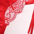 thumbnail image 4 of BLTIBY Women's Erotic Panties Solid Color Lace See-through Briefs Fashion Hollow Out Cheeky Underpants Thongs Red One Size, 4 of 5