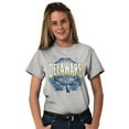 thumbnail image 3 of Delaware DE Student Campus Pride Men's Graphic T Shirt Tees Brisco Brands L, 3 of 4
