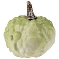 thumbnail image 3 of Northlight Décoration de Récolte d'Automne Citrouille Texturée - 5.5 Pouces - Vert, 3 of 6
