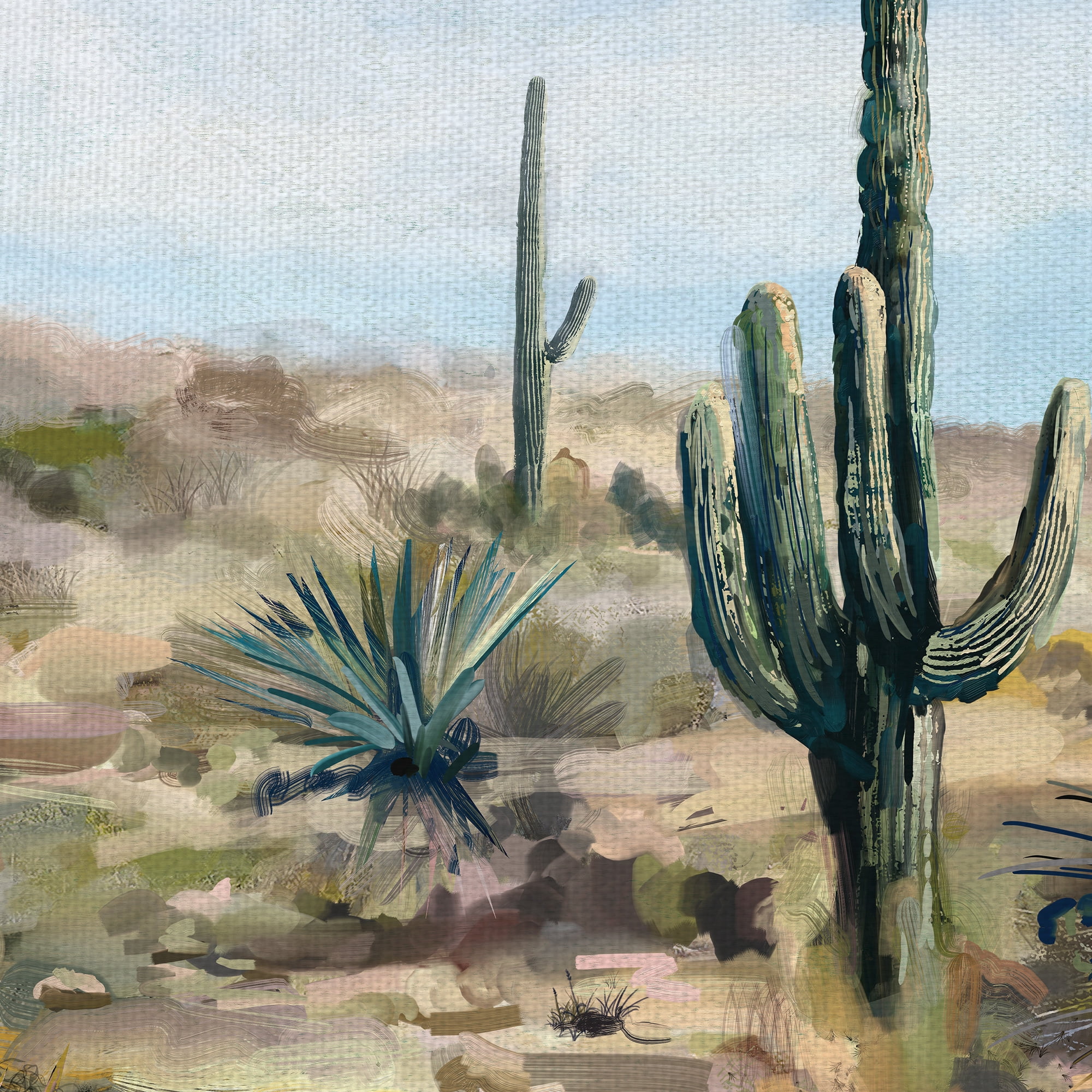Masterpiece Art Gallery Desert Cactus Vista by Studio Arts Canvas Art Print 17" x 34"